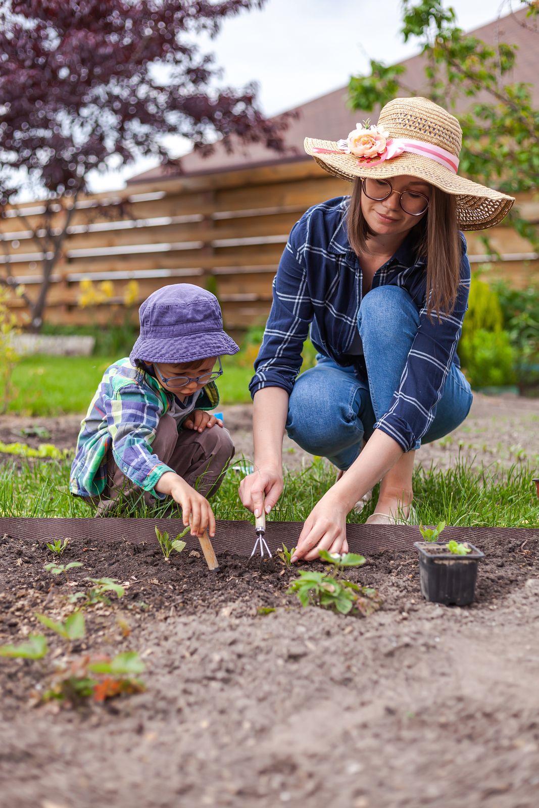 Parent and child planting strawberries