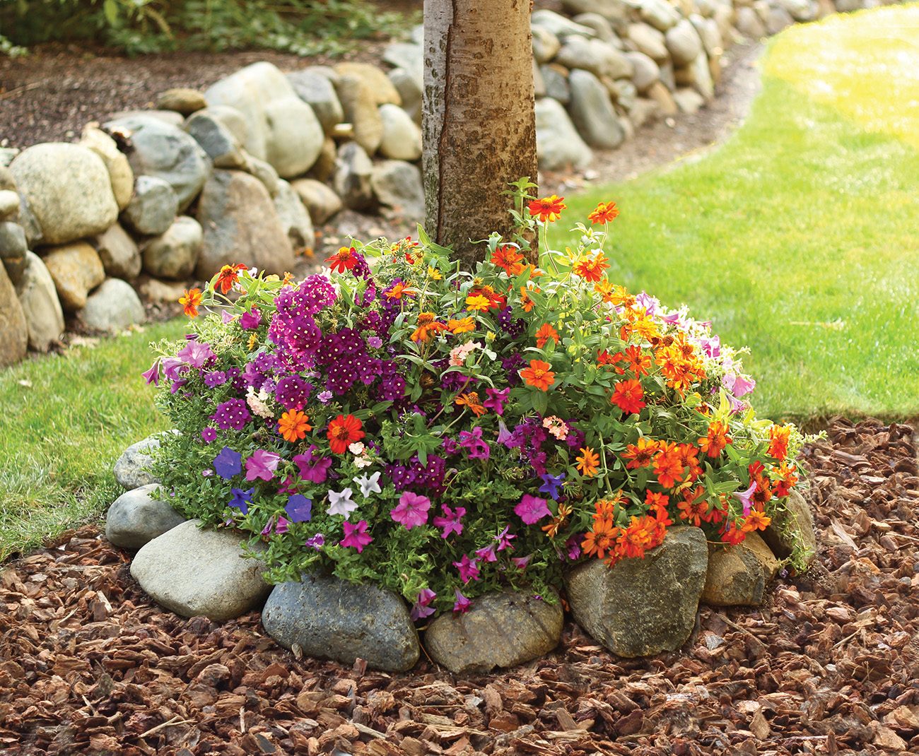 Tree-ring seed mat in full bloom